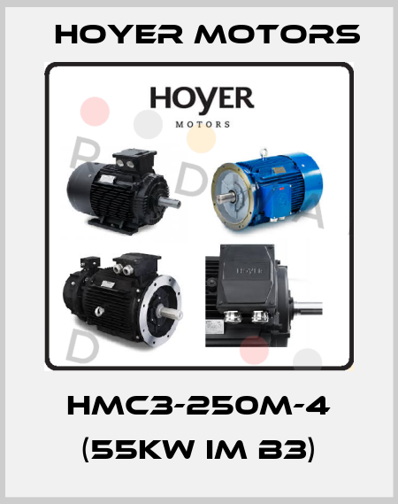 HMC3-250M-4 (55kW IM B3) Hoyer Motors