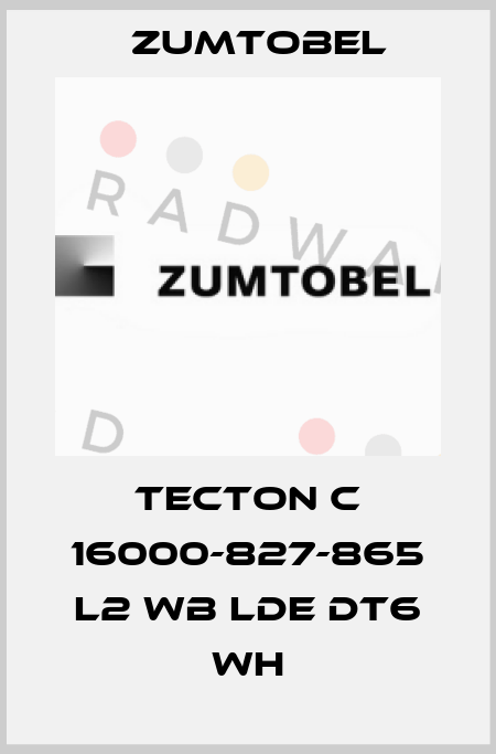 TECTON C 16000-827-865 L2 WB LDE DT6 WH Zumtobel