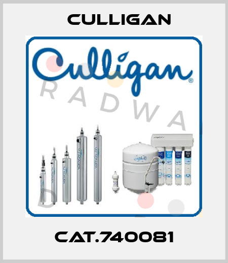 Cat.740081 Culligan