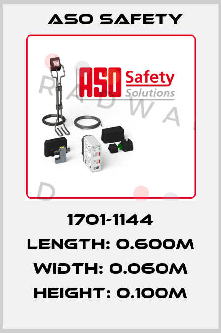 1701-1144 Length: 0.600m Width: 0.060m Height: 0.100m ASO SAFETY