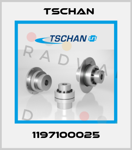 1197100025 Tschan