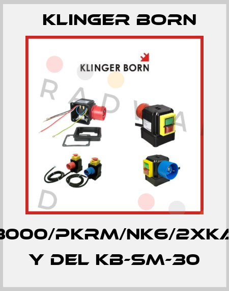 K3000/PKRM/NK6/2xKA6 y del KB-SM-30 Klinger Born