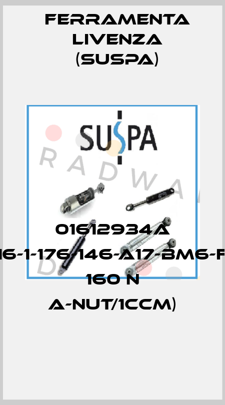 01612934A (16-1-176-146-A17-BM6-F1 160 N A-Nut/1ccm) Ferramenta Livenza (Suspa)