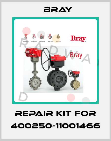 Repair Kit for 400250-11001466 Bray