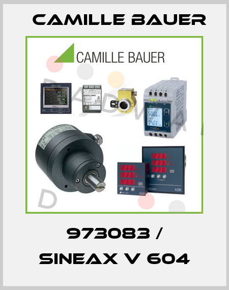 973083 / Sineax V 604 Camille Bauer