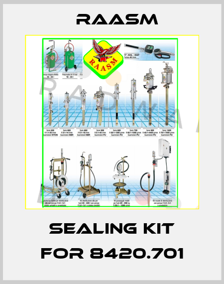 sealing kit for 8420.701 Raasm