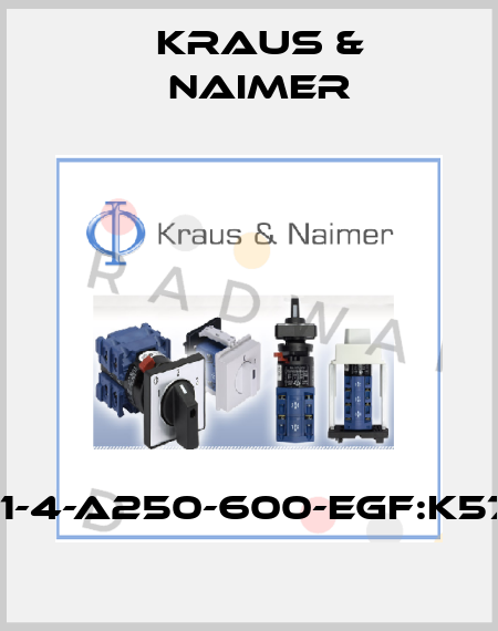 DH11-4-A250-600-EGF:K5787 Kraus & Naimer