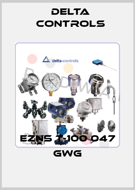 EZNS T-100 047 GWG Delta Controls