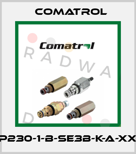 CP230-1-B-SE3B-K-A-XXX Comatrol