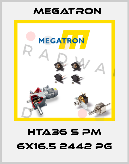 HTA36 S PM 6x16.5 2442 PG Megatron