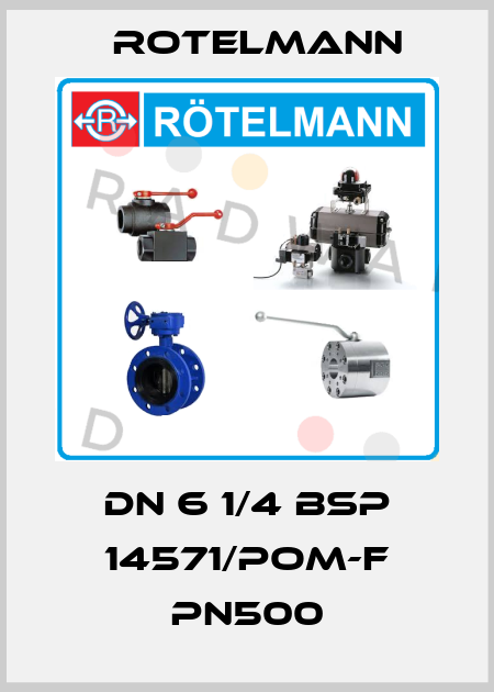 DN 6 1/4 BSP 14571/POM-F PN500 Rotelmann
