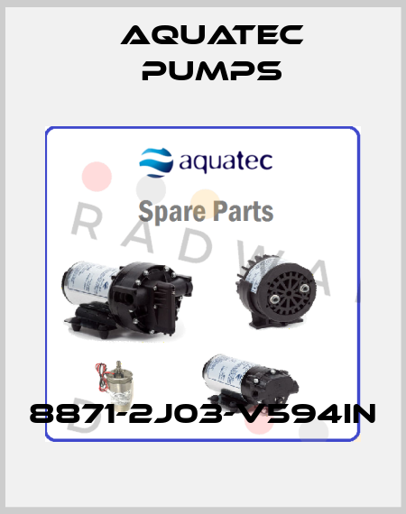 8871-2J03-V594IN Aquatec Pumps