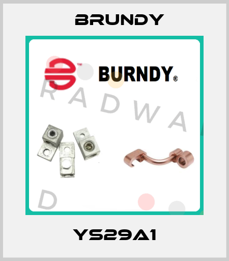 YS29A1 Brundy