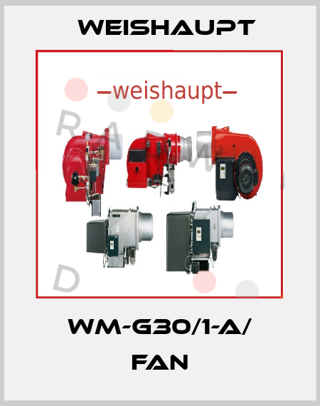 WM-G30/1-A/ fan Weishaupt