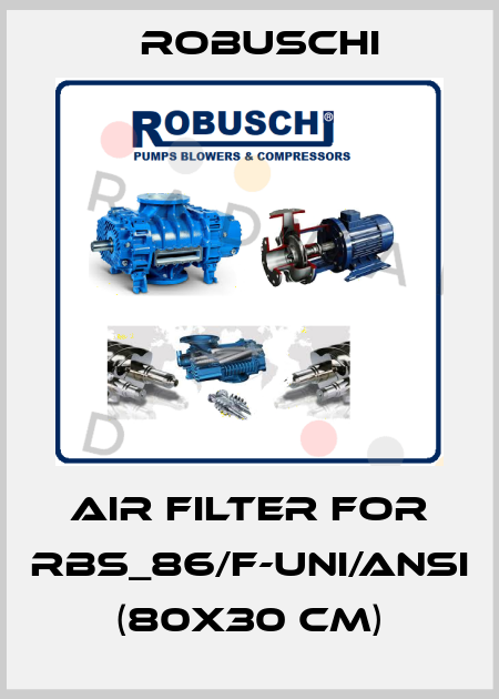 air filter for RBS_86/F-UNI/ANSI  (80x30 cm) Robuschi