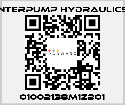 01002138M1Z201 Interpump hydraulics