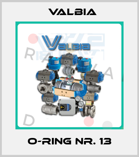 O-Ring Nr. 13 Valbia