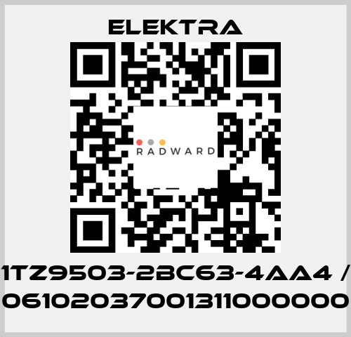 1TZ9503-2BC63-4AA4 / 06102037001311000000 ELEKTRA