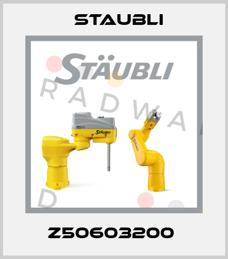 Z50603200  Staubli