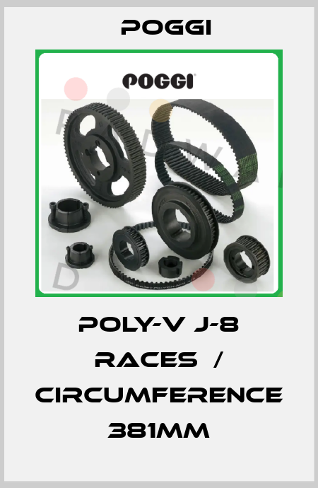POLY-V J-8 races  / circumference 381mm Poggi