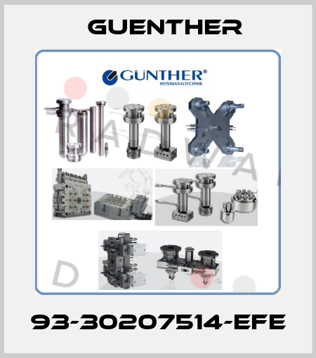 93-30207514-EFE Guenther