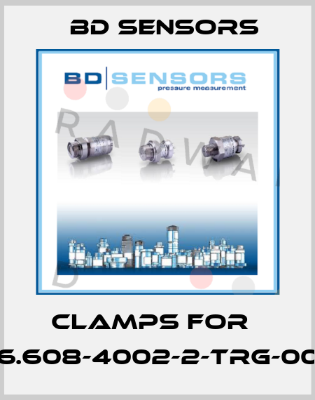 clamps for   46.608-4002-2-TRG-000 Bd Sensors