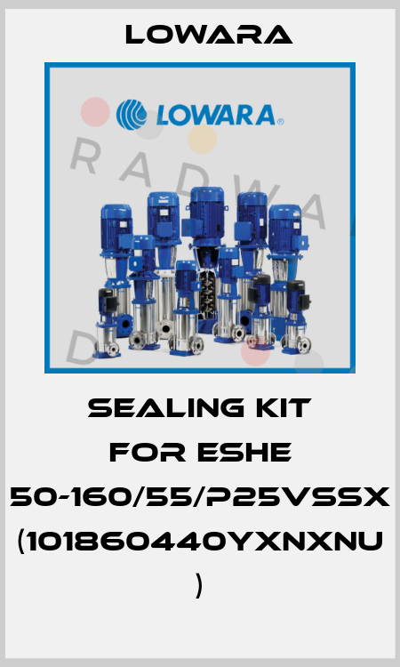 sealing kit for ESHE 50-160/55/P25VSSX (101860440YXNXNU ) Lowara