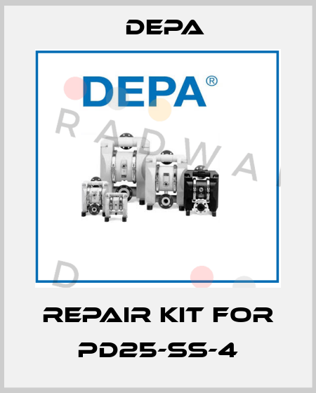 repair kit for PD25-SS-4 Depa