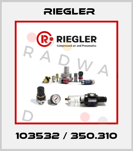 103532 / 350.310 Riegler