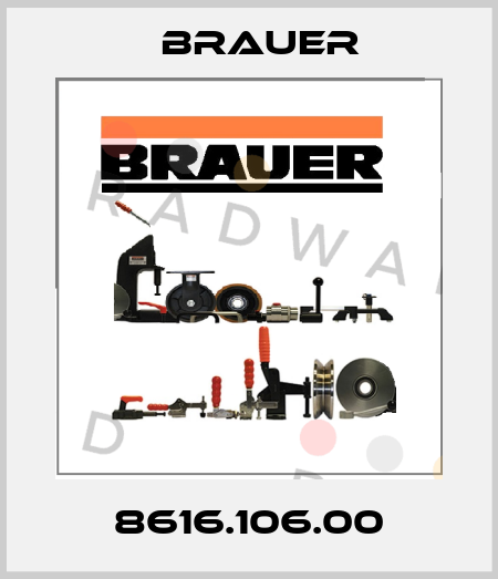 8616.106.00 Brauer
