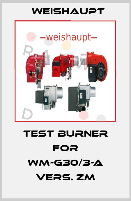 Test burner for WM-G30/3-A vers. ZM Weishaupt