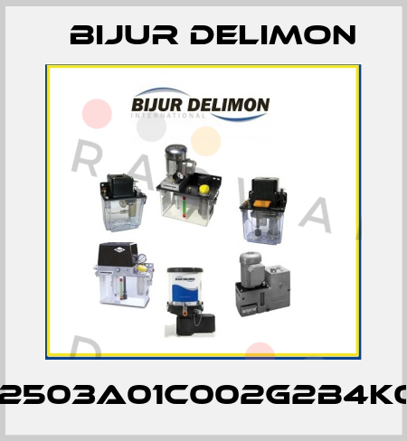 M2503A01C002G2B4K00 Bijur Delimon