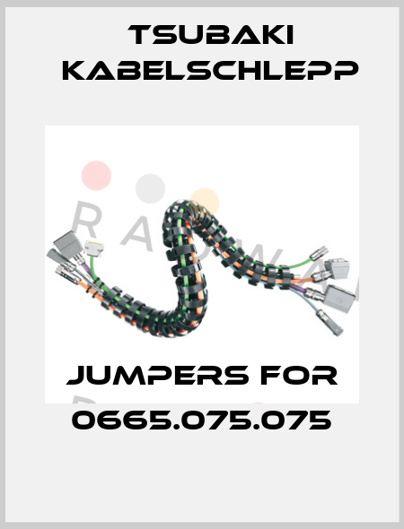 jumpers for 0665.075.075 Tsubaki Kabelschlepp