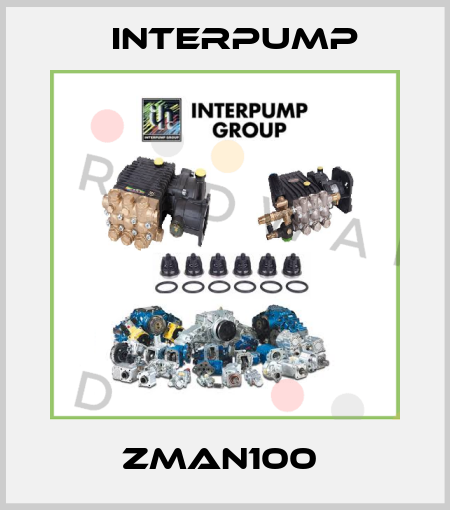 ZMAN100  Interpump
