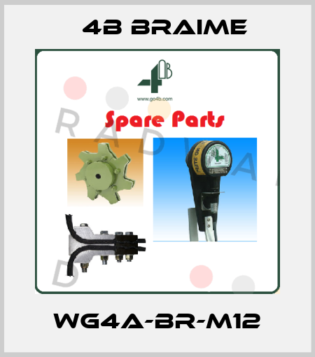 WG4A-BR-M12 4B Braime