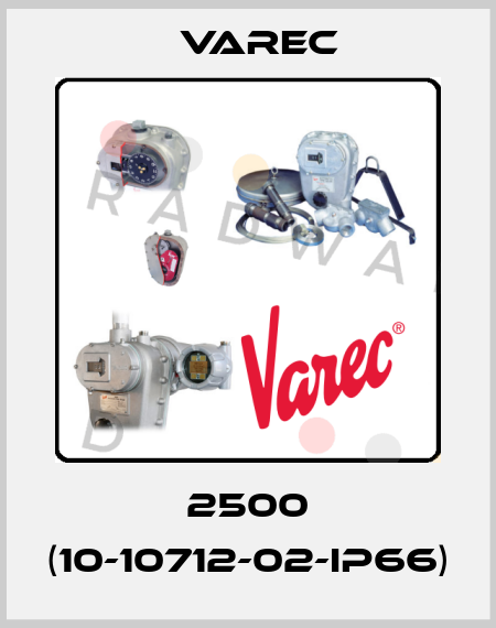 2500 (10-10712-02-IP66) Varec