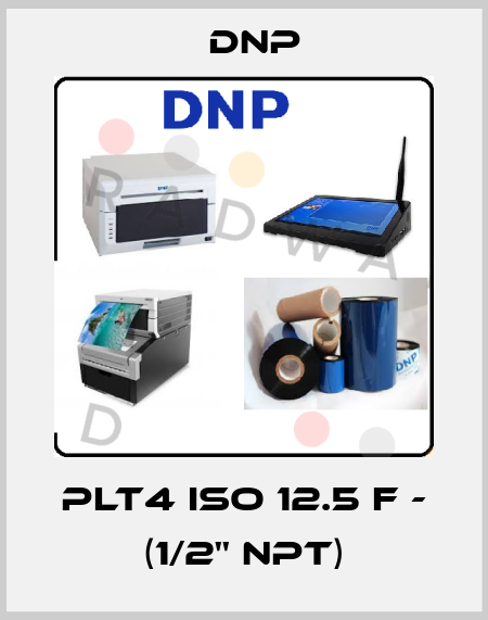 PLT4 ISO 12.5 F - (1/2'' NPT) DNP