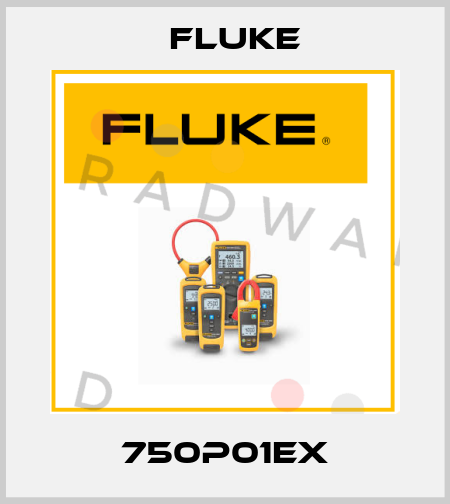 750P01EX Fluke