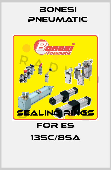 sealing rings for ES 13SC/8SA Bonesi Pneumatic