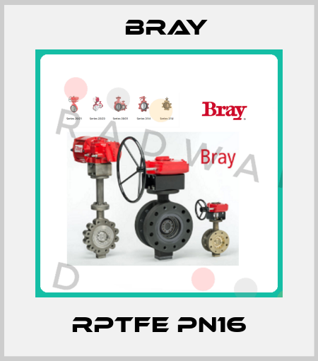 RPTFE PN16 Bray