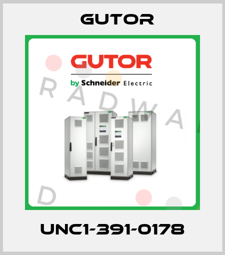 UNC1-391-0178 Gutor