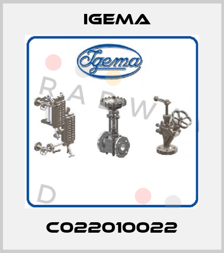 C022010022 Igema