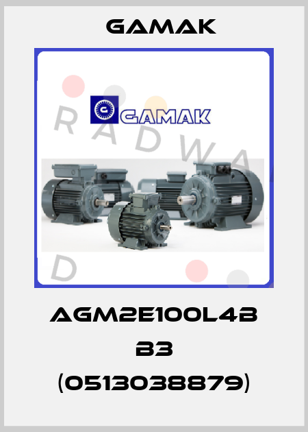 AGM2E100L4B B3 (0513038879) Gamak