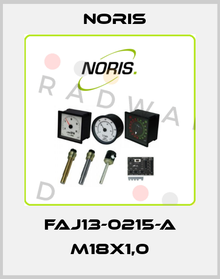 FAJ13-0215-A M18x1,0 Noris