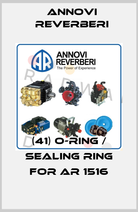 (41) O-ring / sealing ring for AR 1516 Annovi Reverberi