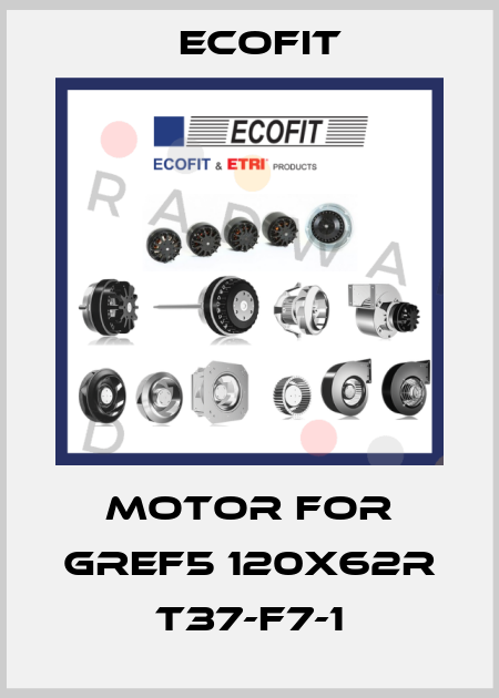 motor for GREF5 120X62R T37-F7-1 Ecofit