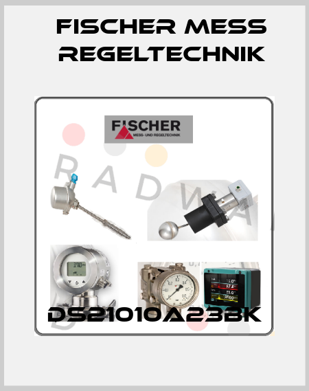 DS21010A23BK Fischer Mess Regeltechnik
