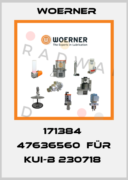171384  47636560  für KUI-B 230718  Woerner