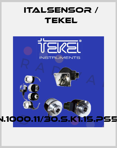 TKW6151C.N.1000.11/30.S.K1.15.PS50.PP2-1130 Italsensor / Tekel