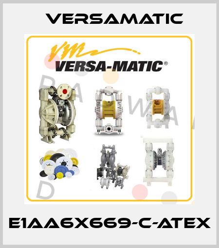 E1AA6X669-C-ATEX VersaMatic
